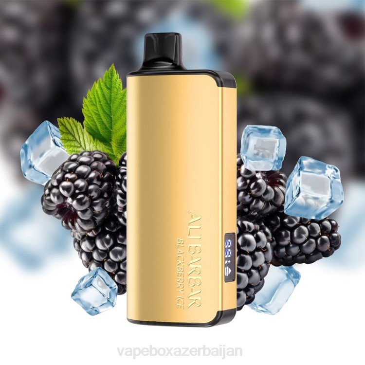 E-Juice Vape - Alibarbar Ingot 20000 Disposable Vape Blackberry Ice 4PP249