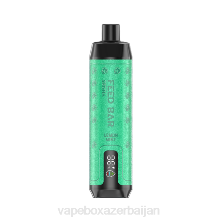 E-Juice Vape - Vapsolo SHISHA Disposable Vape Lemon Mint 4PP2119