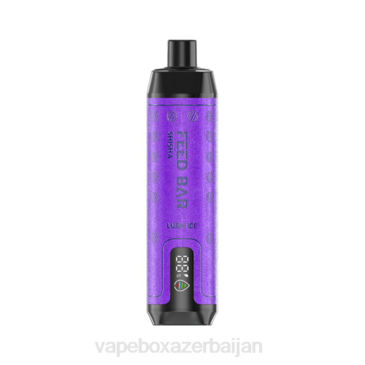 Vape Baku - Vapsolo SHISHA Disposable Vape Lush Ice 4PP2120