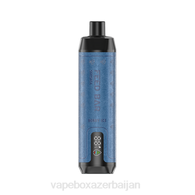 Vape Smoke - Vapsolo SHISHA Disposable Vape Berry Ice 4PP2113