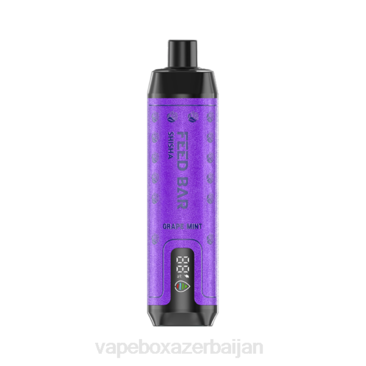 Vape Smoke - Vapsolo SHISHA Disposable Vape Grape Mint 4PP2118