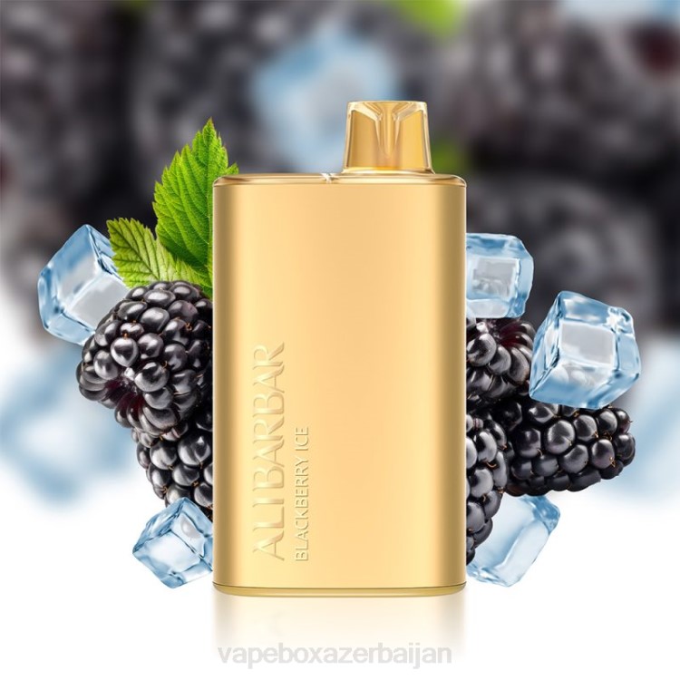 Vape Baku - Alibarbar Rich 8000 Disposable Vape Blackberry Ice 4PP210