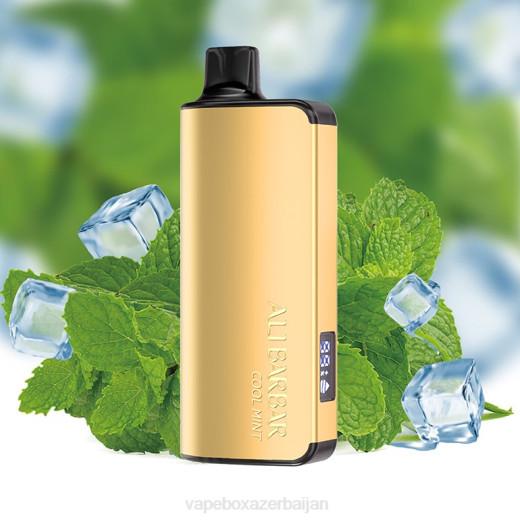 Vape Smoke - Alibarbar Ingot 9000 Disposable Vape Cool Mint 4PP218