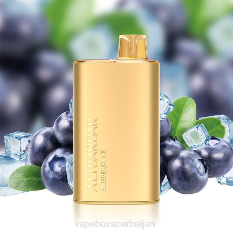 Vape Smoke - Alibarbar Rich 8000 Disposable Vape Blueberry Ice 4PP23