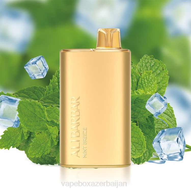 Vape Smoke - Alibarbar Rich 8000 Disposable Vape Mint Breeze 4PP28