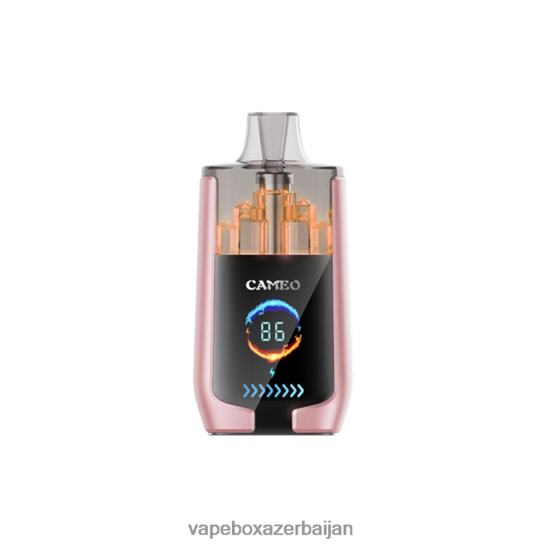 E-Juice Vape - LAVIE CAMEO 30000 Puffs Tropical Fruit RD0L0B19