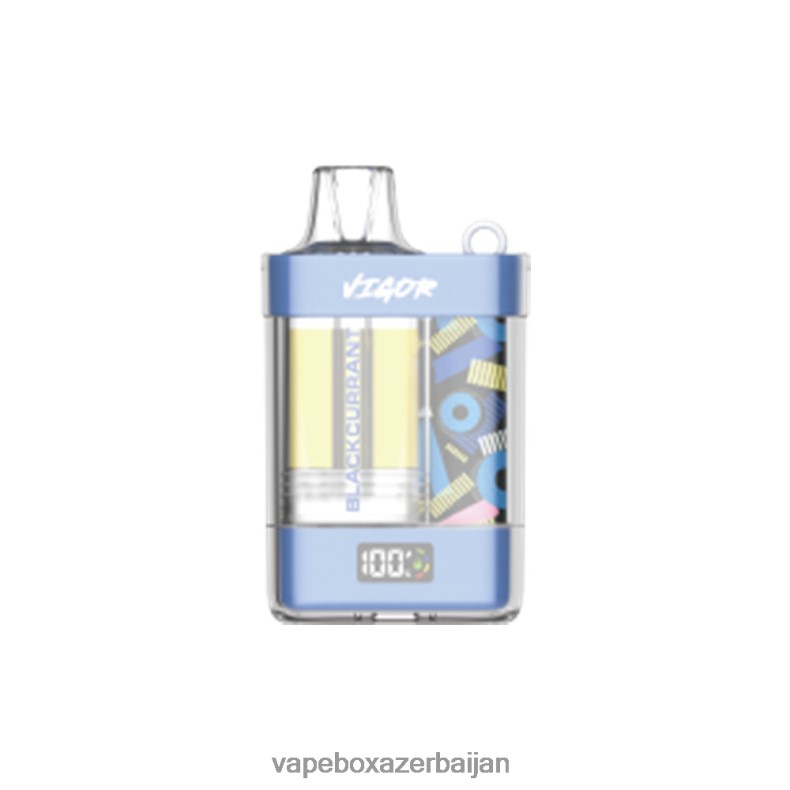 E-Juice Vape - LAVIE VIGOR 15000 Puffs Black Currant RD0L0B9
