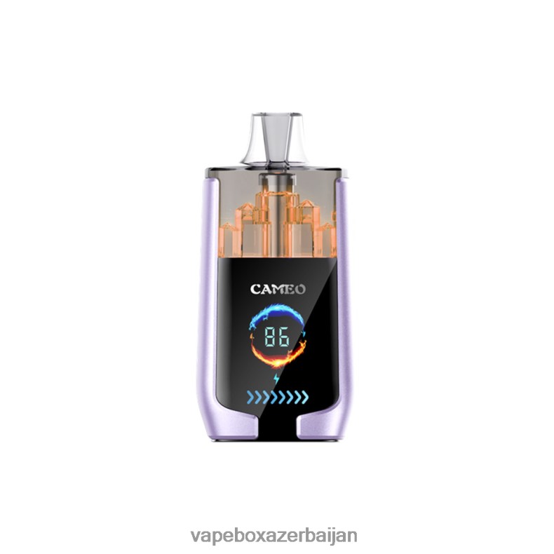 Vape Azerbaijan - LAVIE CAMEO 30000 Puffs Grape Ice RD0L0B16
