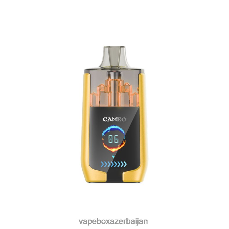 Vape Azerbaijan - LAVIE CAMEO 30000 Puffs Mango Ice RD0L0B21