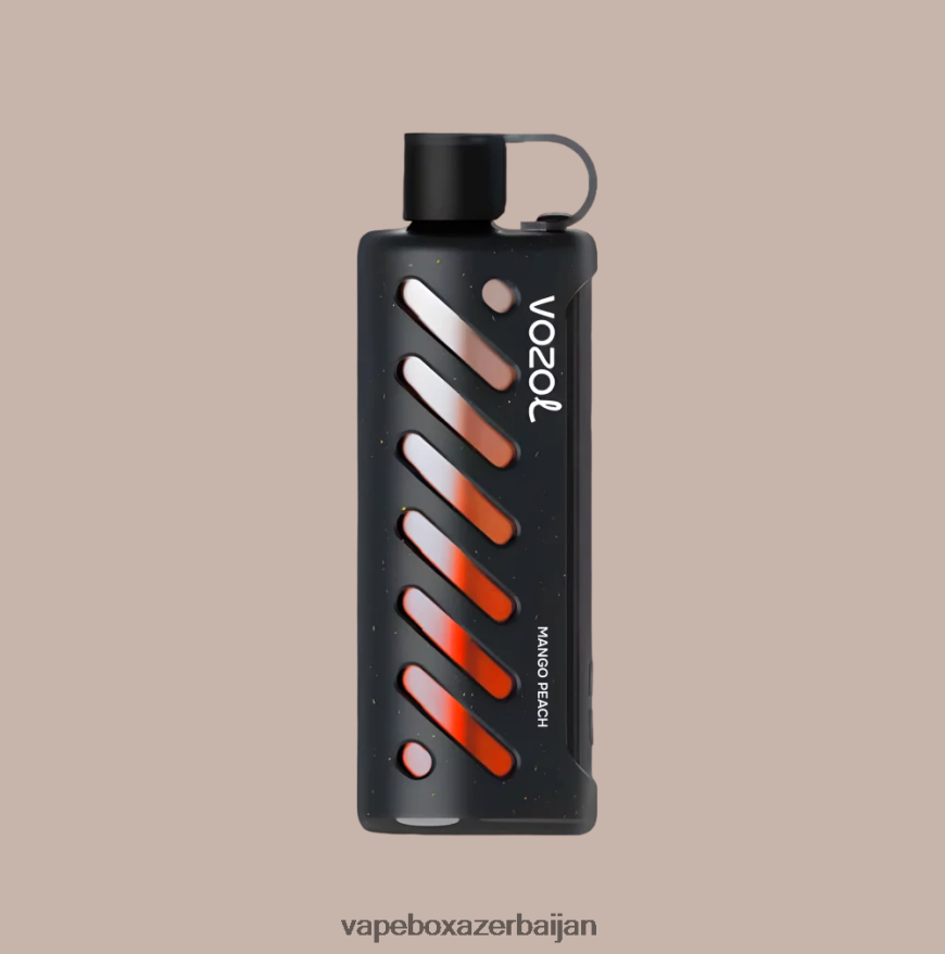 Vape Azerbaijan - VOZOL Gear Shisha 25000 BFB0241
