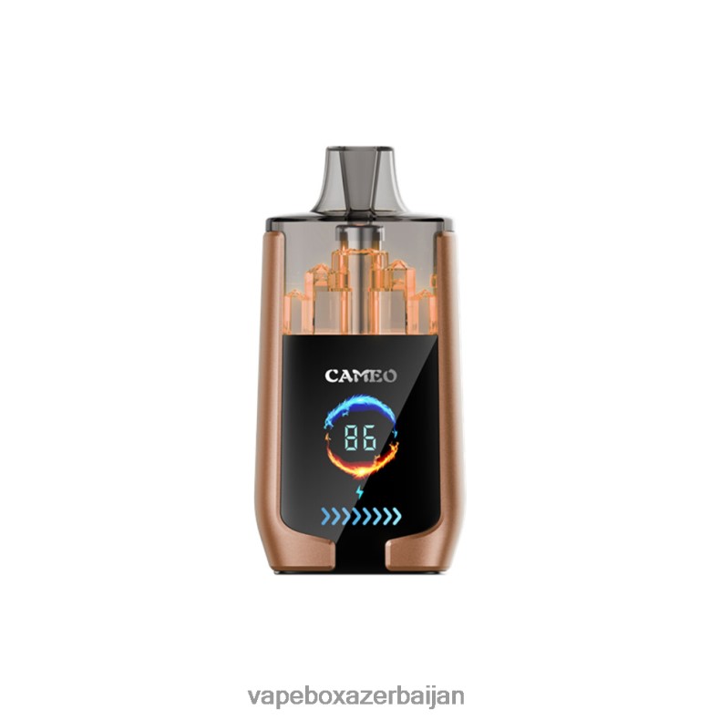 Vape Smoke - LAVIE CAMEO 30000 Puffs Coffee Ice RD0L0B18