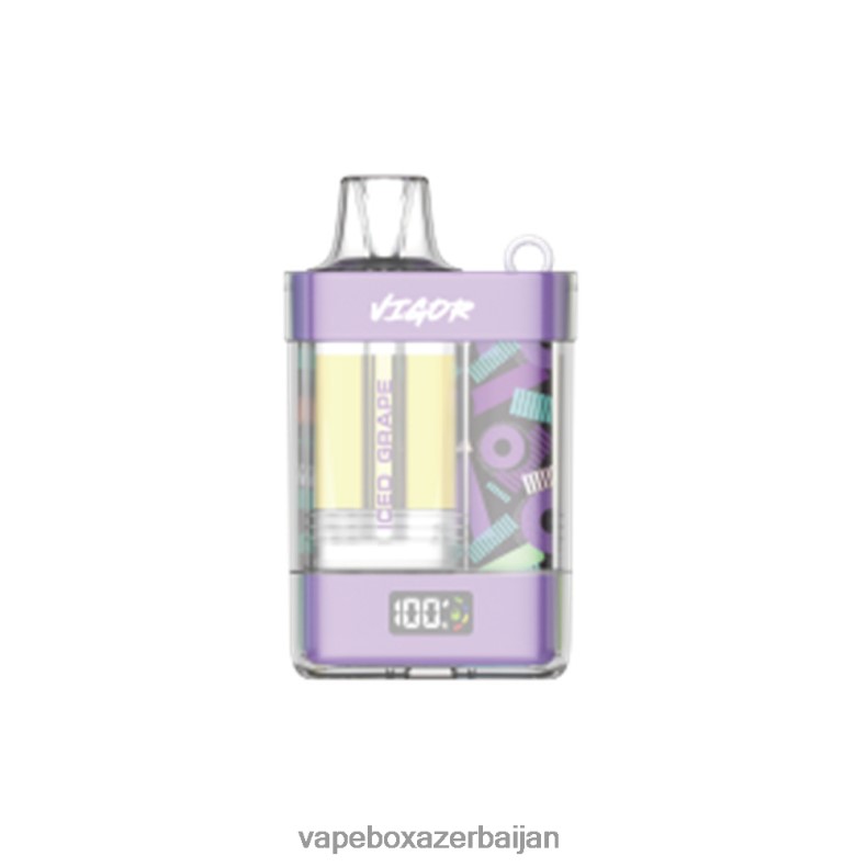 Vape Smoke - LAVIE VIGOR 15000 Puffs Iced Grape RD0L0B8