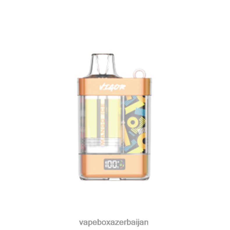 Vape Smoke - LAVIE VIGOR 15000 Puffs Mango Ice RD0L0B3