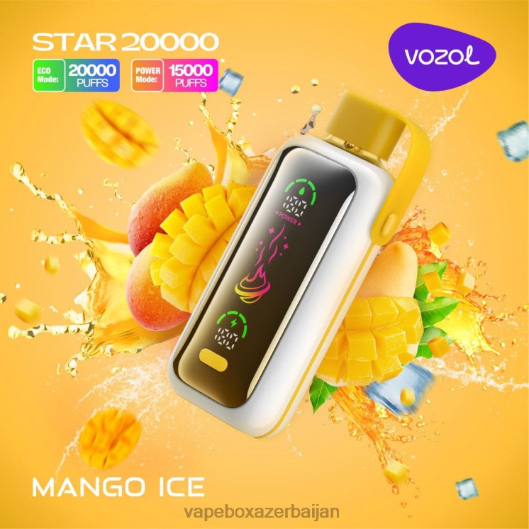 Vape Smoke - VOZOL STAR 20000 DP26413 MANGO ICE